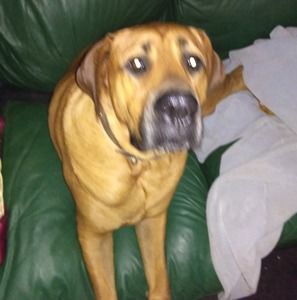 Meet your Posher, Glenna